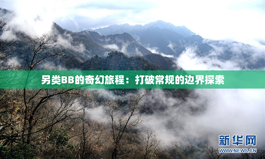 另类BB的奇幻旅程：打破常规的边界探索