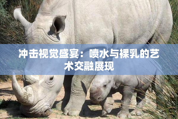 冲击视觉盛宴：喷水与裸乳的艺术交融展现