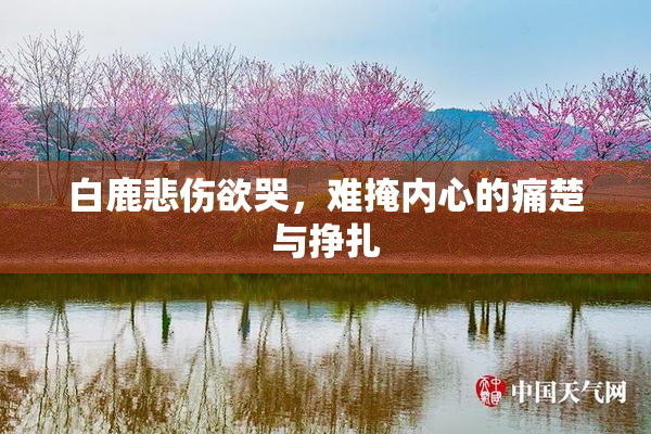 白鹿悲伤欲哭，难掩内心的痛楚与挣扎