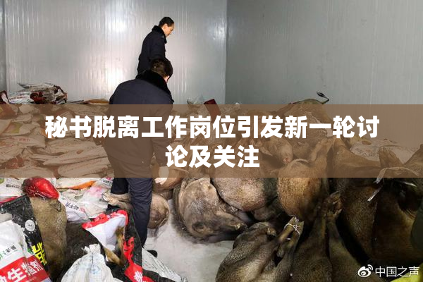 秘书脱离工作岗位引发新一轮讨论及关注