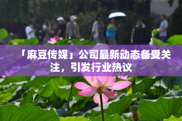 「麻豆传媒」公司最新动态备受关注，引发行业热议