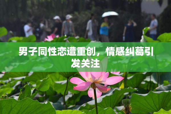 男子同性恋遭重创，情感纠葛引发关注