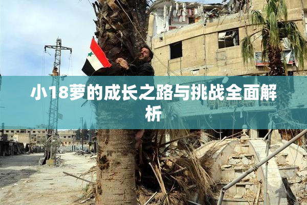 小18萝的成长之路与挑战全面解析