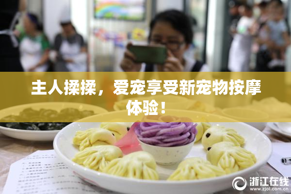 主人揉揉，爱宠享受新宠物按摩体验！
