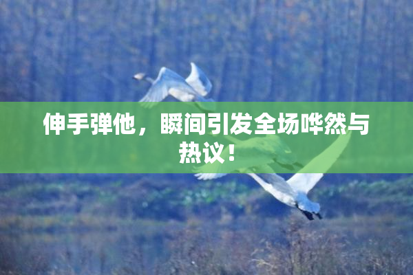 伸手弹他，瞬间引发全场哗然与热议！
