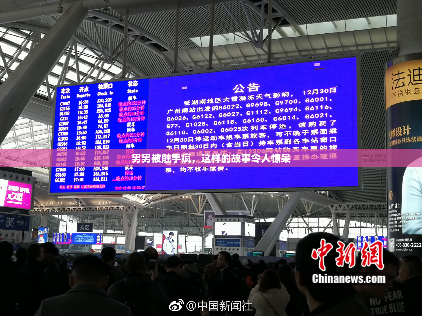 男男被触手疯，这样的故事令人惊呆
