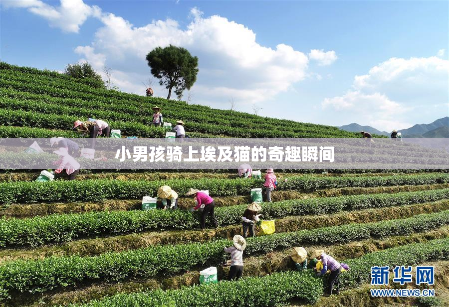 小男孩骑上埃及猫的奇趣瞬间