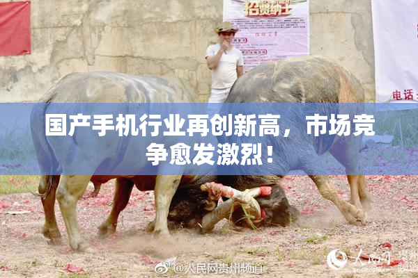 国产手机行业再创新高，市场竞争愈发激烈！