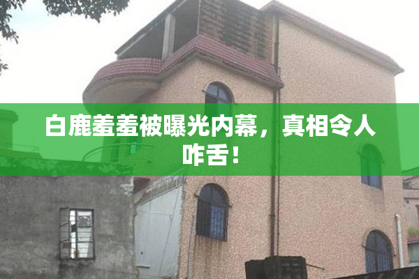 白鹿羞羞被曝光内幕，真相令人咋舌！