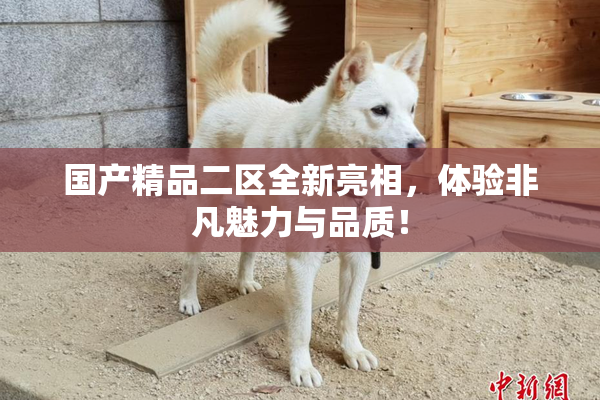 国产精品二区全新亮相，体验非凡魅力与品质！