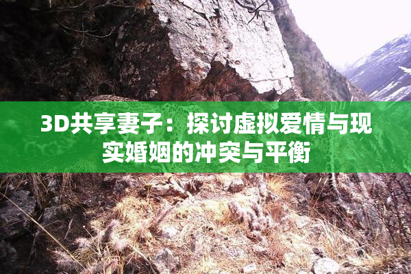 3D共享妻子：探讨虚拟爱情与现实婚姻的冲突与平衡