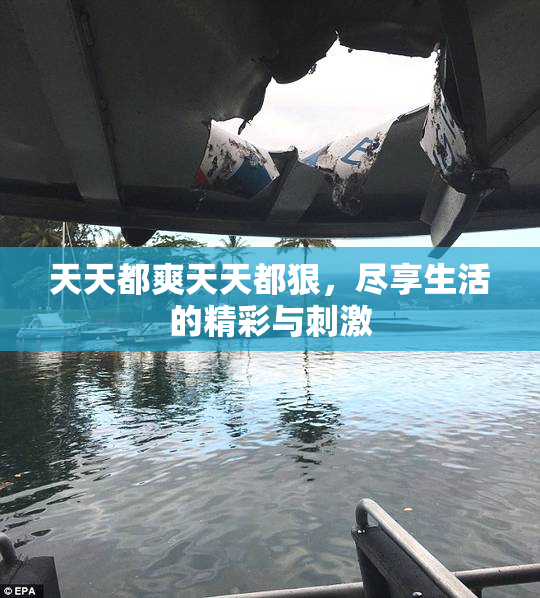 天天都爽天天都狠，尽享生活的精彩与刺激