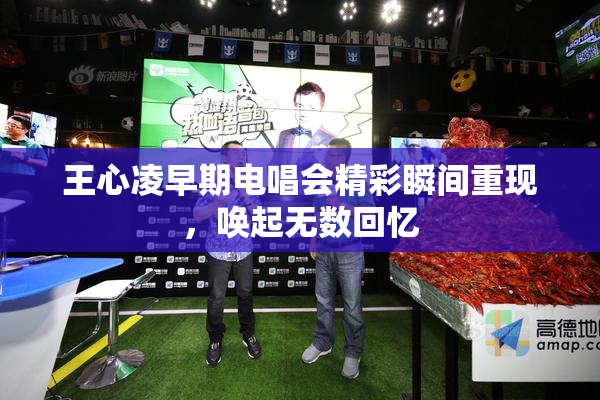 王心凌早期电唱会精彩瞬间重现，唤起无数回忆