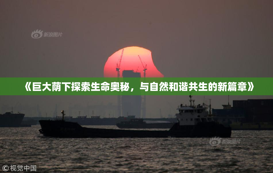 《巨大荫下探索生命奥秘，与自然和谐共生的新篇章》