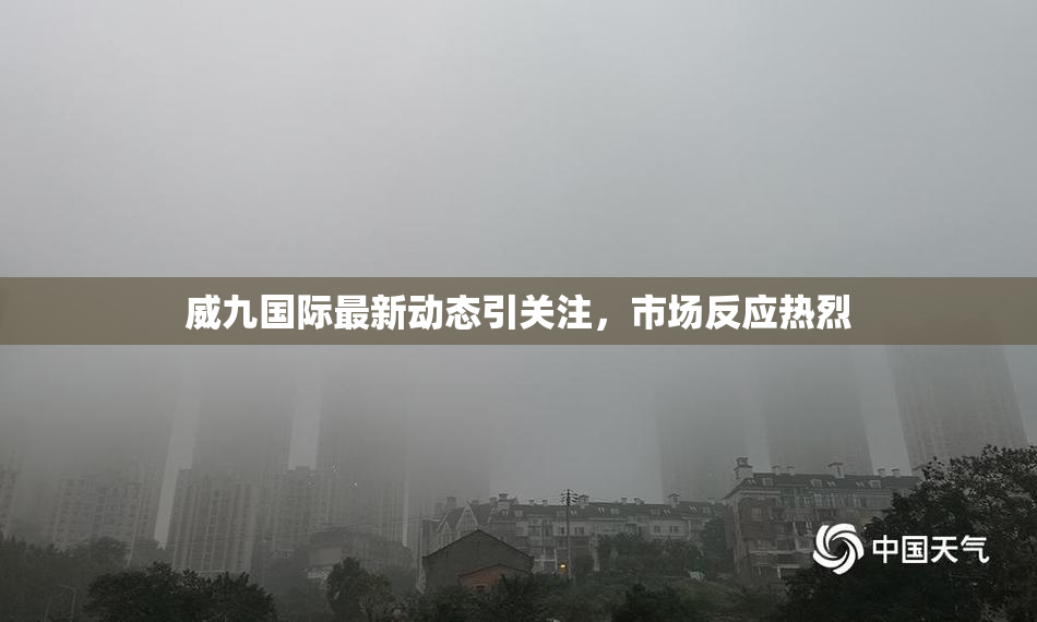 威九国际最新动态引关注，市场反应热烈