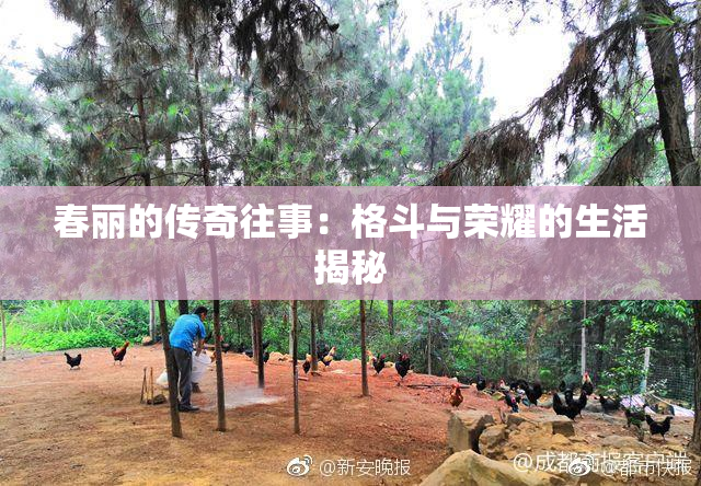 春丽的传奇往事：格斗与荣耀的生活揭秘