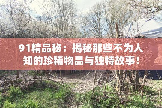 91精品秘：揭秘那些不为人知的珍稀物品与独特故事！