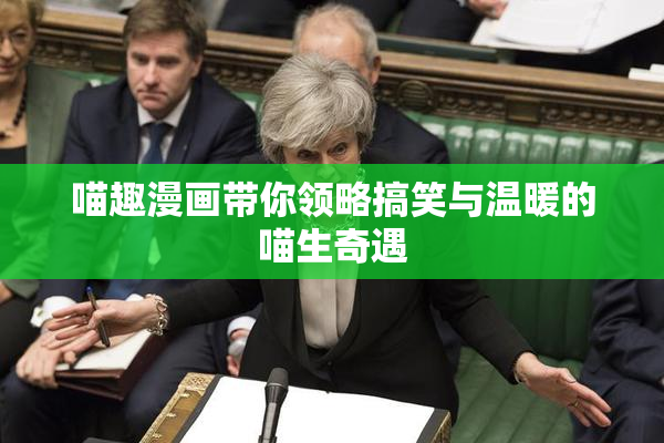 喵趣漫画带你领略搞笑与温暖的喵生奇遇