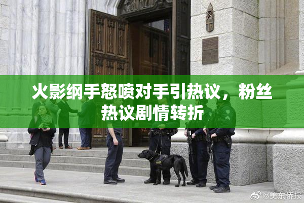 火影纲手怒喷对手引热议，粉丝热议剧情转折