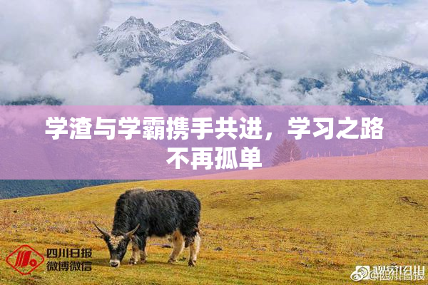 学渣与学霸携手共进，学习之路不再孤单