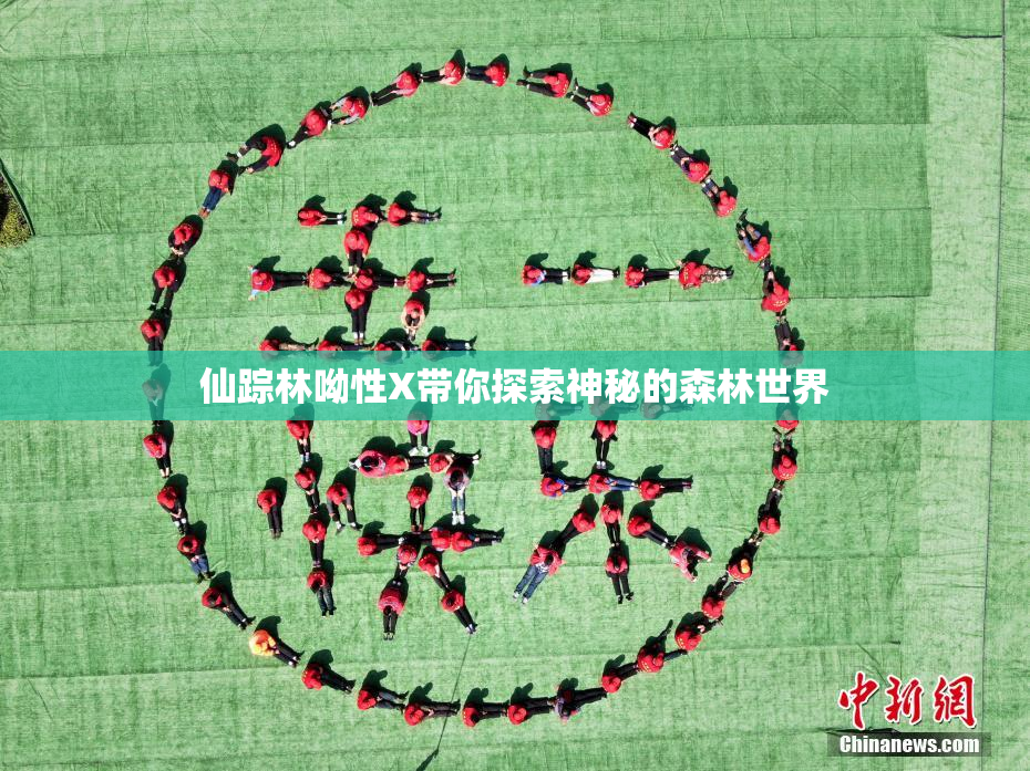 仙踪林呦性X带你探索神秘的森林世界