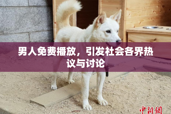 男人免费播放，引发社会各界热议与讨论