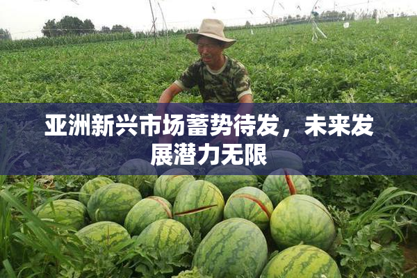 亚洲新兴市场蓄势待发，未来发展潜力无限