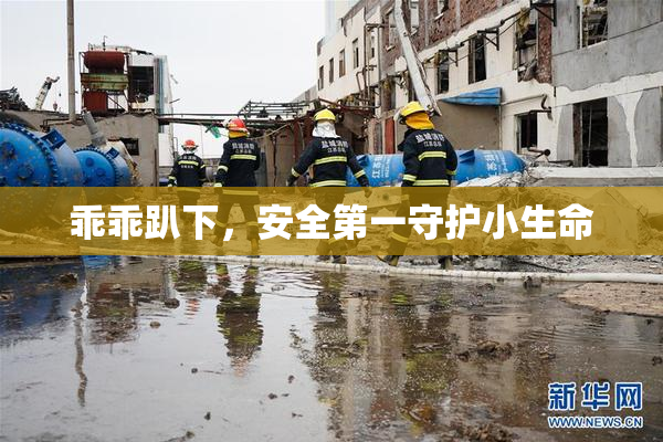 乖乖趴下，安全第一守护小生命