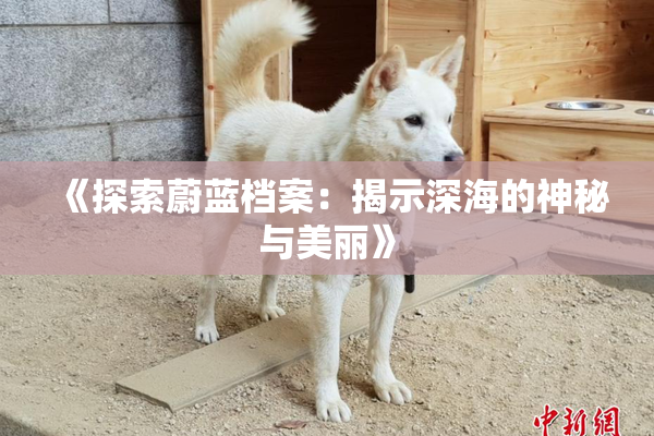 《探索蔚蓝档案：揭示深海的神秘与美丽》