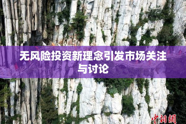 无风险投资新理念引发市场关注与讨论