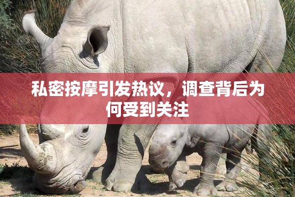 私密按摩引发热议，调查背后为何受到关注