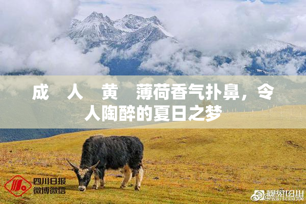成　人　黄　薄荷香气扑鼻，令人陶醉的夏日之梦