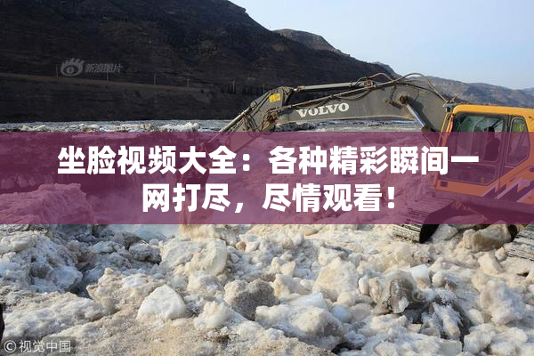 坐脸视频大全：各种精彩瞬间一网打尽，尽情观看！