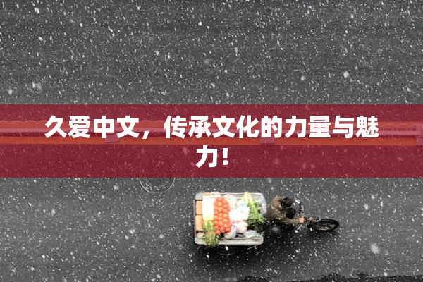 久爱中文，传承文化的力量与魅力！