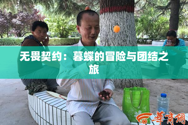 无畏契约：暮蝶的冒险与团结之旅