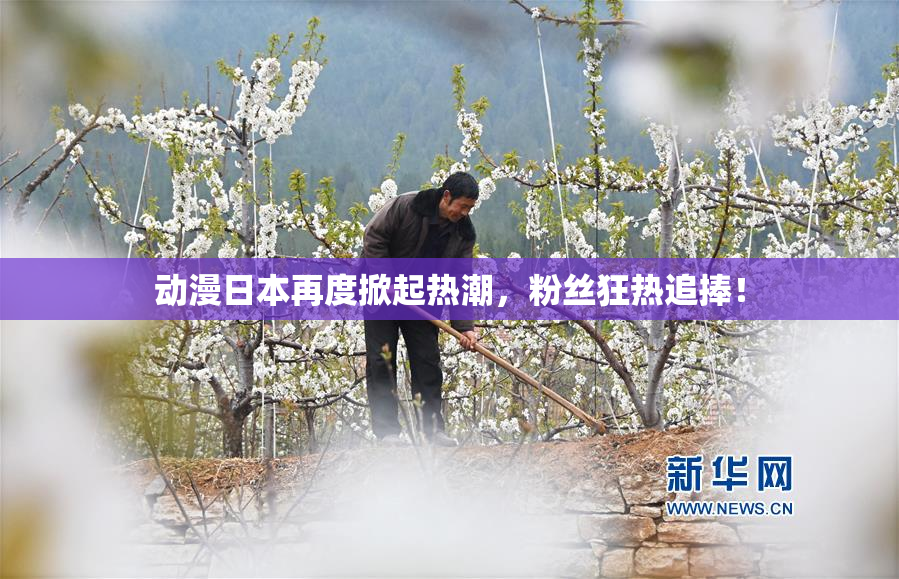 动漫日本再度掀起热潮，粉丝狂热追捧！