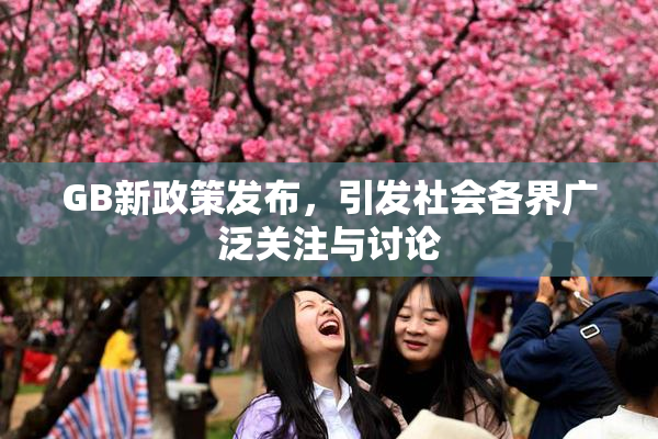 GB新政策发布，引发社会各界广泛关注与讨论