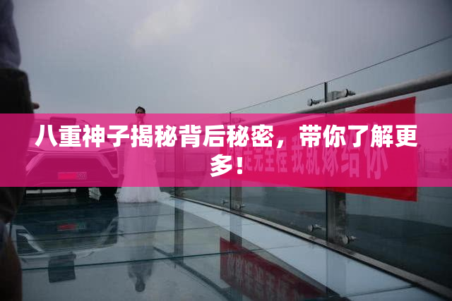 八重神子揭秘背后秘密，带你了解更多！
