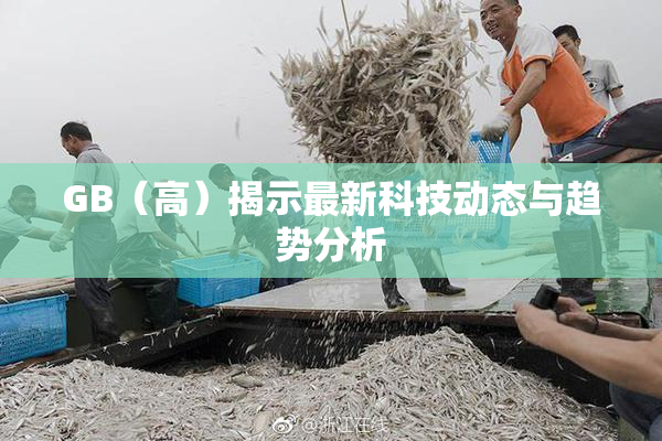 GB（高）揭示最新科技动态与趋势分析