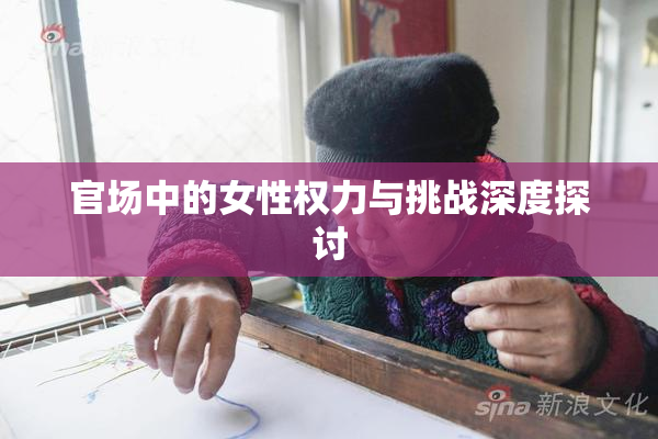 官场中的女性权力与挑战深度探讨