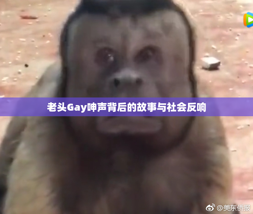 老头Gay呻声背后的故事与社会反响