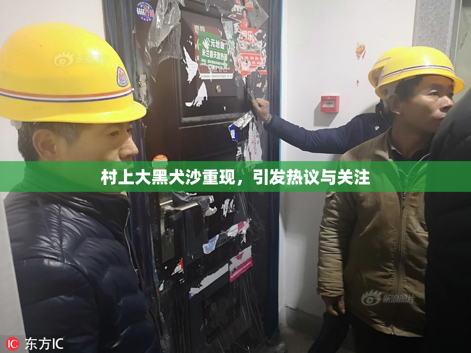 村上大黑犬沙重现，引发热议与关注