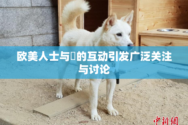 欧美人士与嘼的互动引发广泛关注与讨论