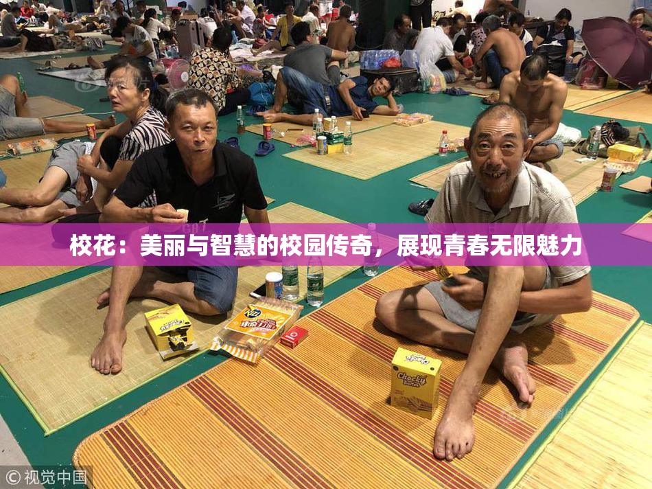 校花：美丽与智慧的校园传奇，展现青春无限魅力