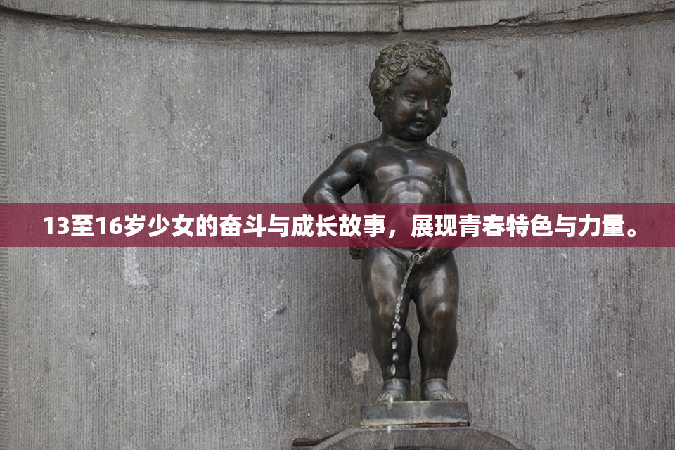 13至16岁少女的奋斗与成长故事，展现青春特色与力量。