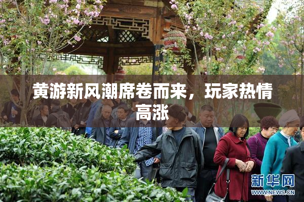黄游新风潮席卷而来，玩家热情高涨