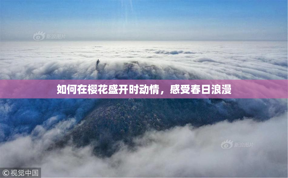 如何在樱花盛开时动情，感受春日浪漫