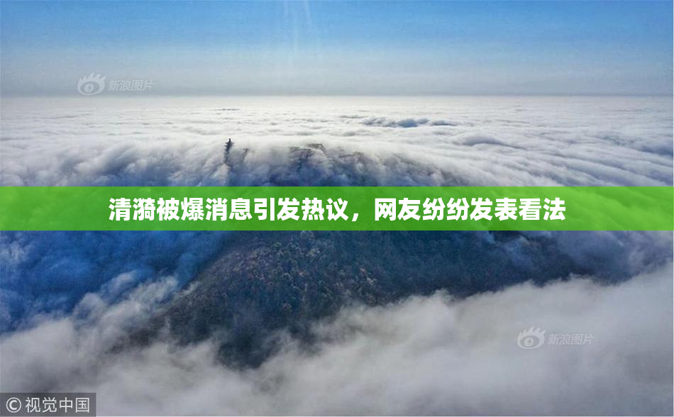 清漪被爆消息引发热议，网友纷纷发表看法