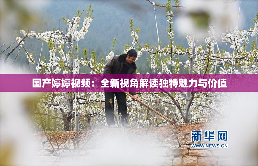 国产婷婷视频：全新视角解读独特魅力与价值