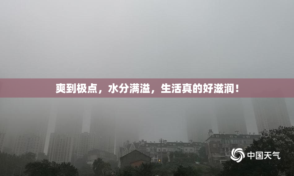爽到极点，水分满溢，生活真的好滋润！